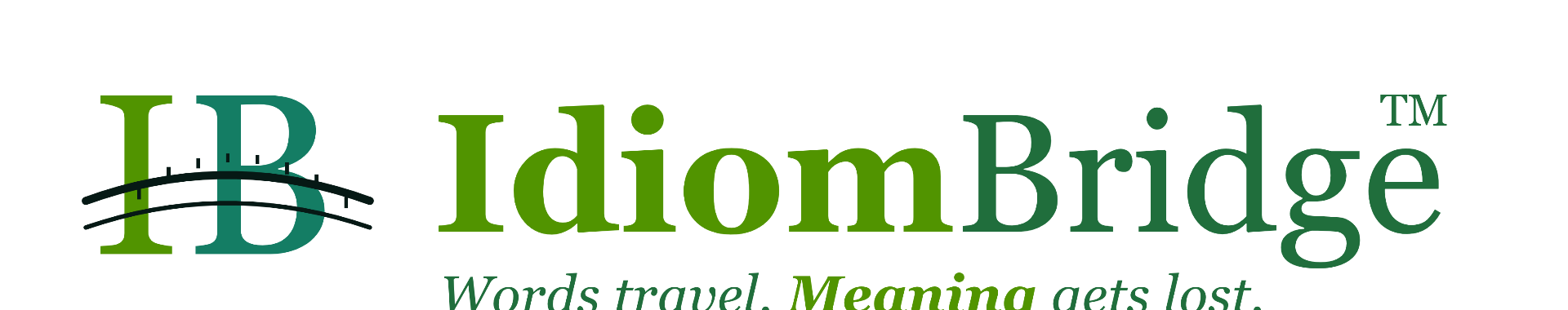 IdiomBridge™